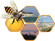 OEBF-logo
